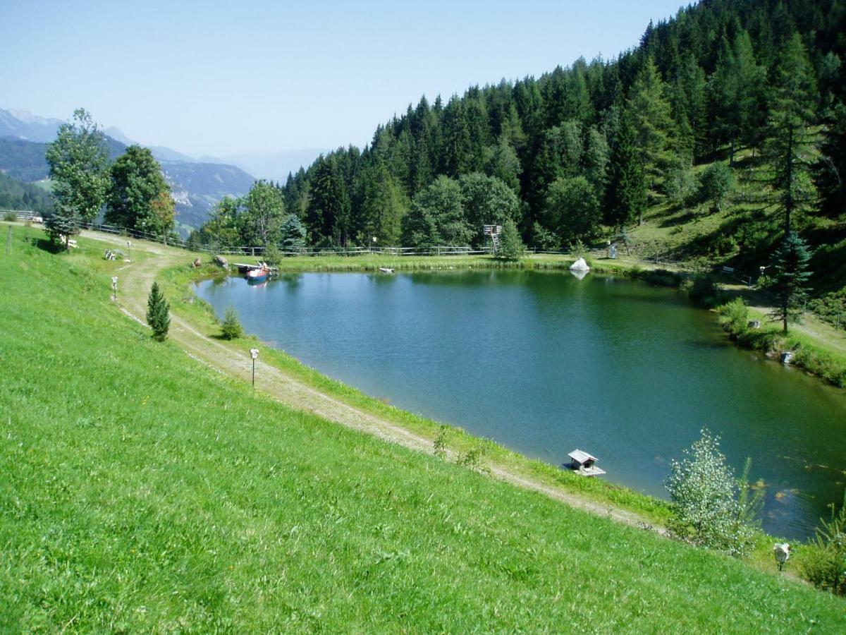 Innviertler Berggasthof رادستادت المظهر الخارجي الصورة